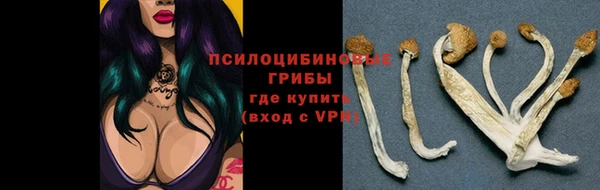 соль ск Зеленодольск