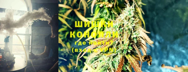 соль ск Зеленодольск