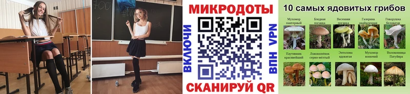 Купить  Санкт-Петербург  Псилоцибиновые грибы GOLDEN TEACHER 